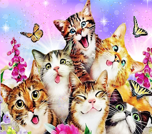 Cute Cats #1