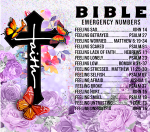 Emergency Numbers